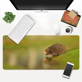 Fant Darilo Pad Ježa živali Udobje Miško Mat Gaming Mousepad Gaming Mouse Pad Velike Deak Mat 700x300mm za overwatch/cs pojdi